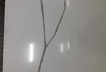 CALACATA ALEXANDRIA SJ