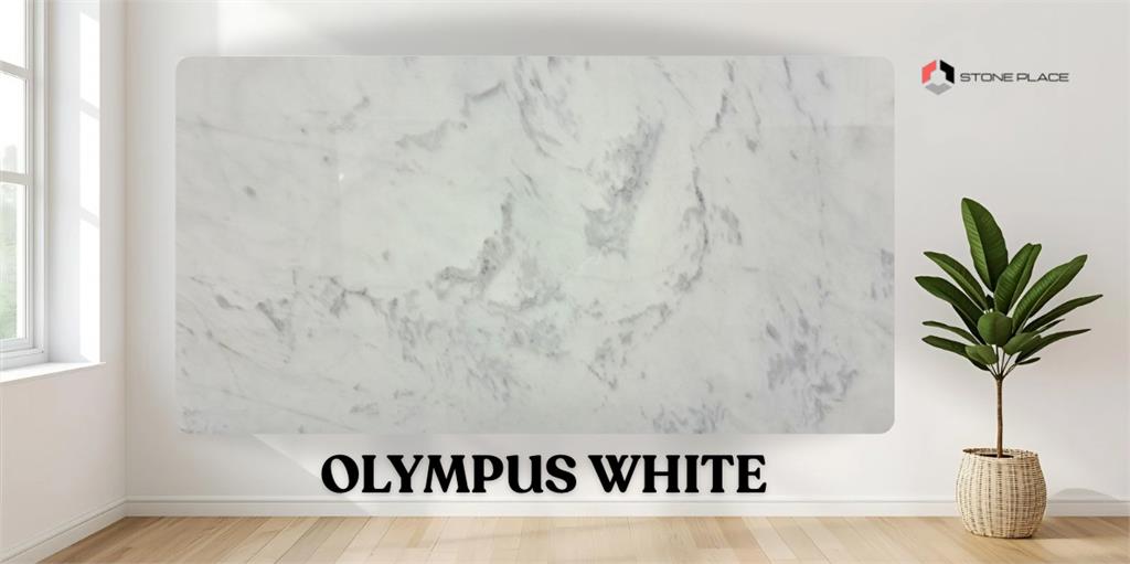 OLYMPUS WHITE