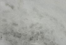 TESOURO BIANCO