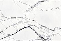 PORCELAIN FLORIM BREACH