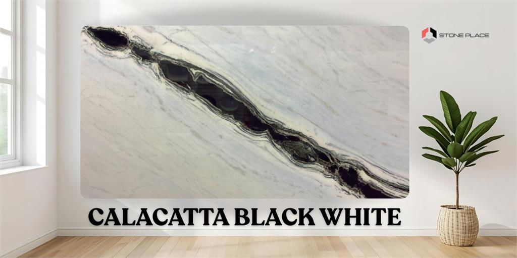CALACATTA BLACK WHITE
